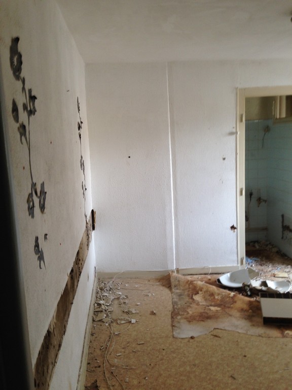 Rénovation intégrale (Ferney-Voltaire)