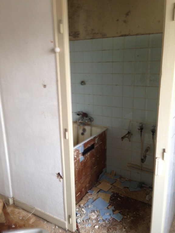 Rénovation intégrale (Ferney-Voltaire)