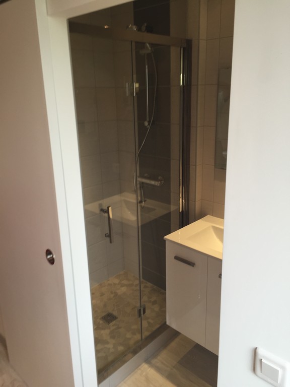 Rénovation intégrale (Ferney-Voltaire)